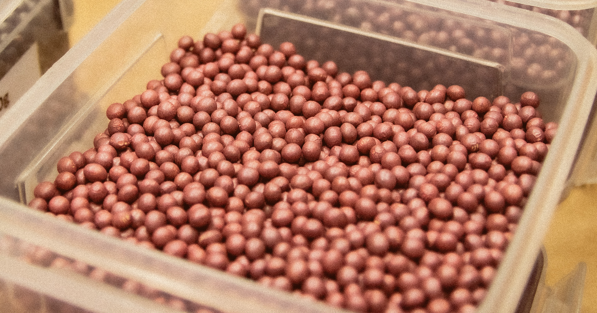 ¿Tratar las semillas resuelve todo el problema de enfermedades al inicio?