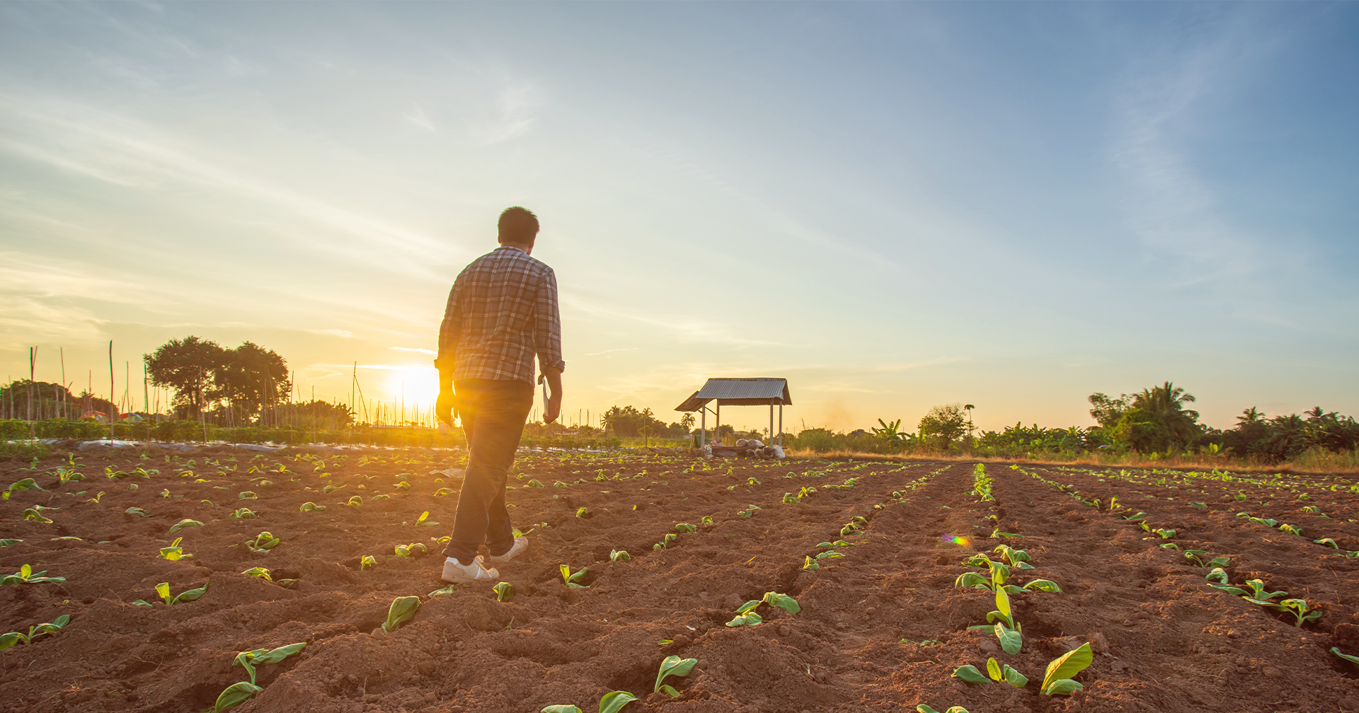 Are you afraid of becoming a more technological producer?