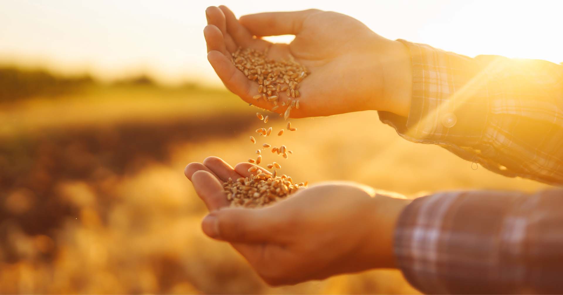 Cada gota conta para a sua rentabilidade e para o futuro do agro