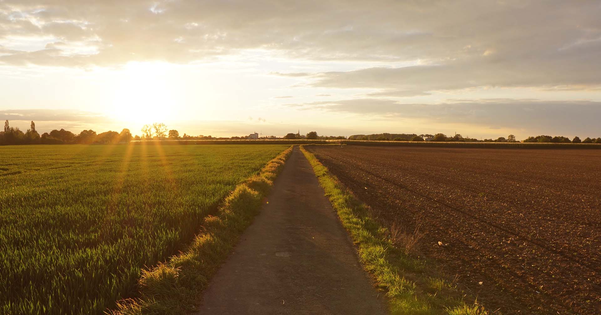 Sementes inteligentes: a próxima fronteira da agricultura já está no seu campo?