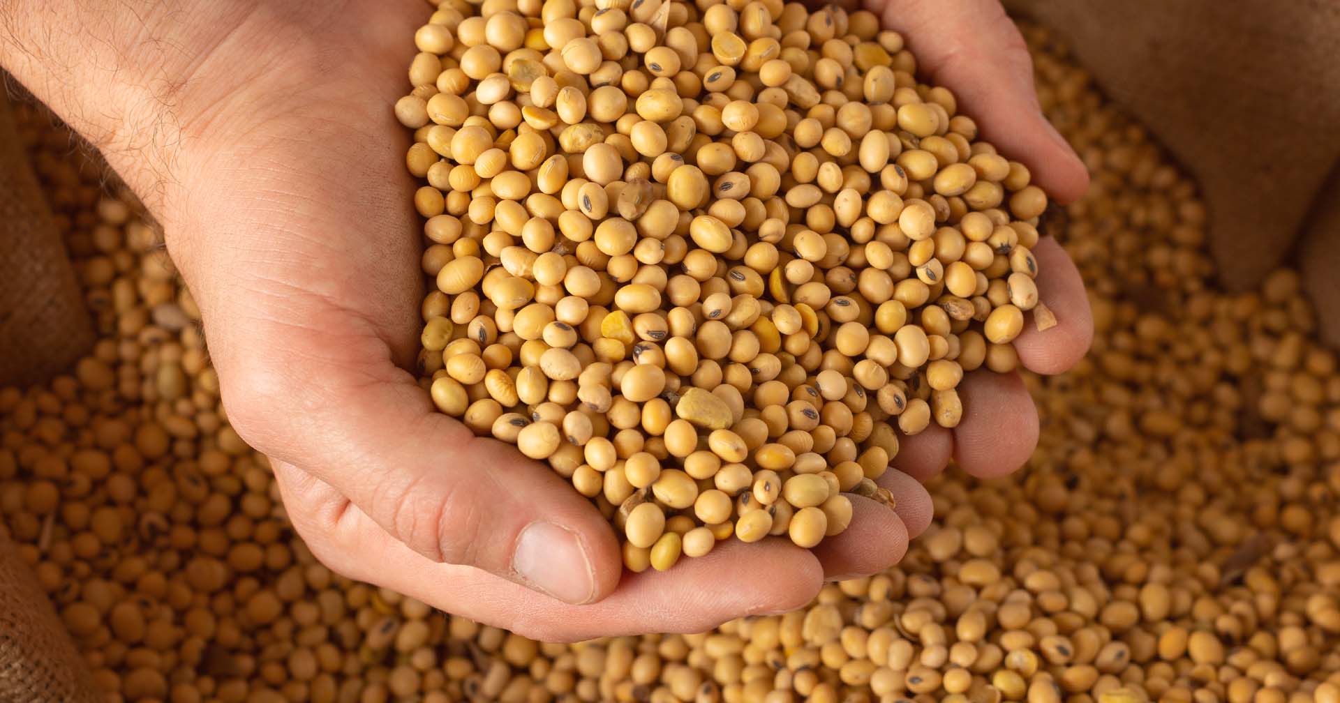 Os ganhos da Batelada Dupla