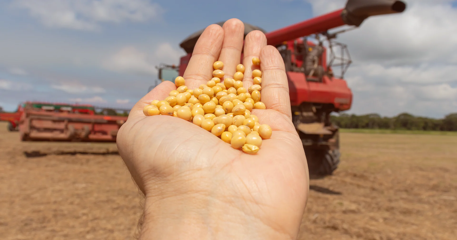 5 Dicas para o Tratamento de Sementes On Farm